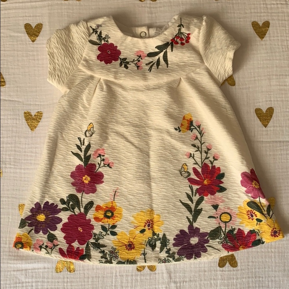 Infant bay girl Spring dress.